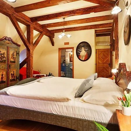 U Kriveho Psa Guest house