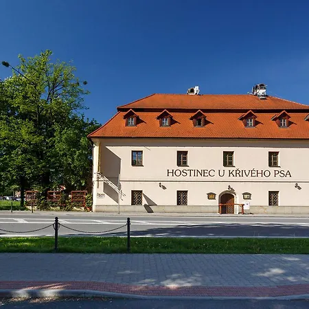 Gasthuis U Kriveho Psa Frýdek-Místek