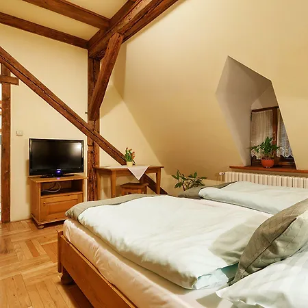 Gæstehus U Kriveho Psa 3*