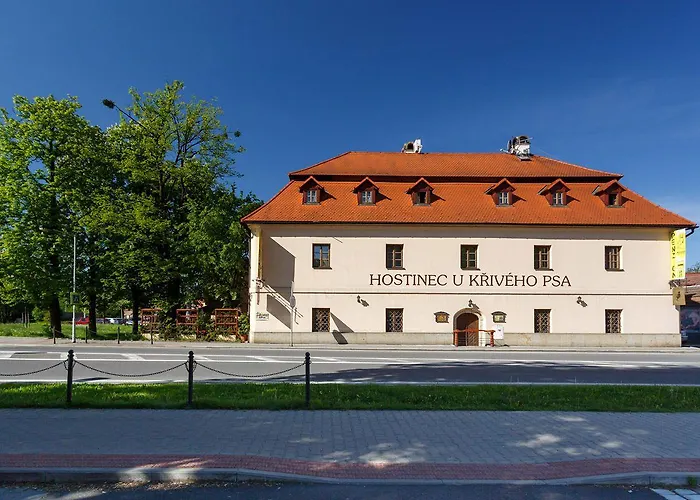 Affittacamere U Kriveho Psa Frýdek-Místek
